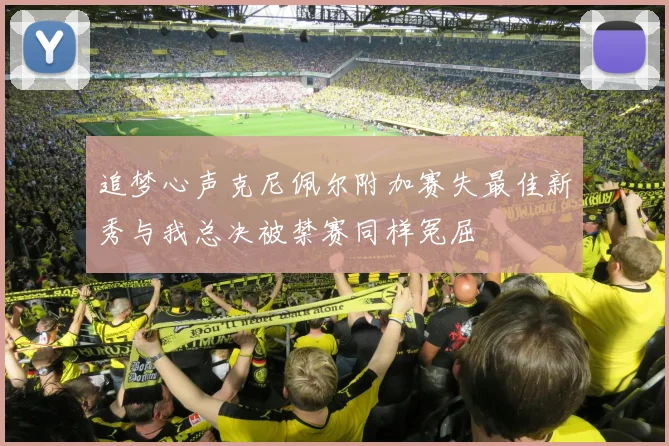 追梦心声克尼佩尔附加赛失最佳新秀与我总决被禁赛同样冤屈