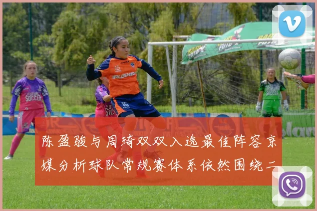 陈盈骏与周琦双双入选最佳阵容京媒分析球队常规赛体系依然围绕二人运转